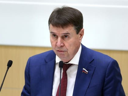 Сенатор Цеков осудил высказывание кандидата в премьеры Эстонии о России