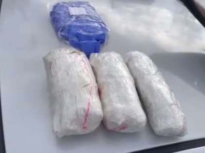 В Орехово-Зуевском округе полицейские задержали наркоперевозчиков