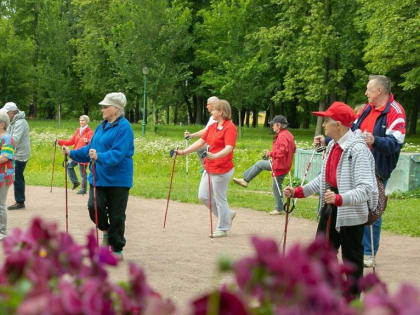 Марафон скандинавской ходьбы для пенсионеров пройдет в Подмосковье в четверг