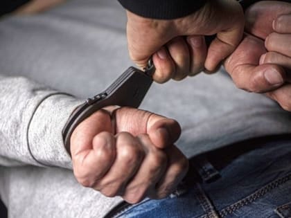 В Электрогорске полицейскими задержан подозреваемый в грабеже