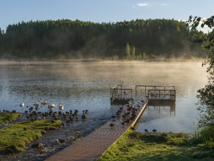 Названы опасные заболевания, которыми можно заразиться при купании в водоёмах