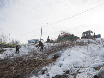 В Орехово-Зуеве приступили к подготовке перед строительством парящей тропы