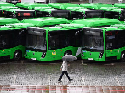 Газ за газом: в России создадут госпрограмму развития рынка топлива