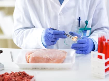 Роспотребнадзор нашел сальмонеллу у восьми отравившихся в ресторане Петербурга