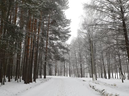 Благоустройство парка «Ёлочки» в Наро-Фоминске