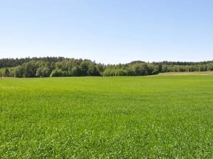 Минэкологии Подмосковья потребовало прекратить загрязнение земель в Солнечногорске