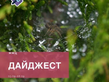 Дайджест 03.09-08.09