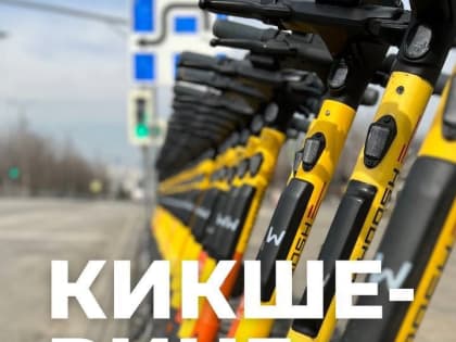 Сервис кикшеринга набирает популярность