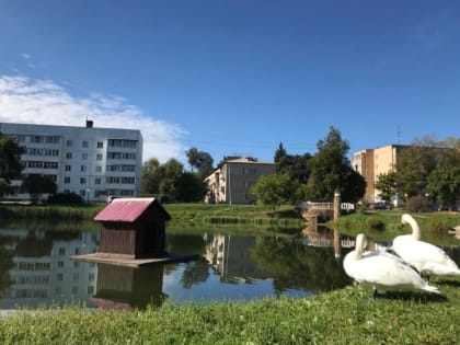 В Рузе обсудят благоустройство Георгиевского пруда