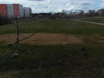 Более 5 тысяч ружан проголосовали за объекты благоустройства