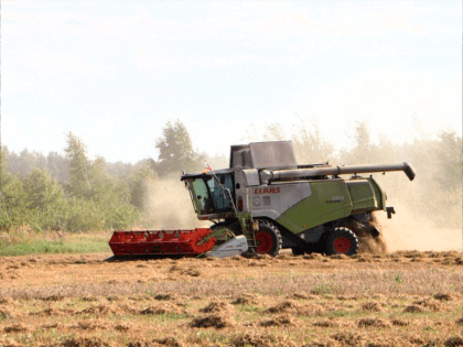 Зарайские аграрии устанавливают рекорды по сбору масличных культур