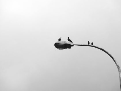 В 2023 году в Московской области на уличное освещение выделят 1,3 млрд рублей