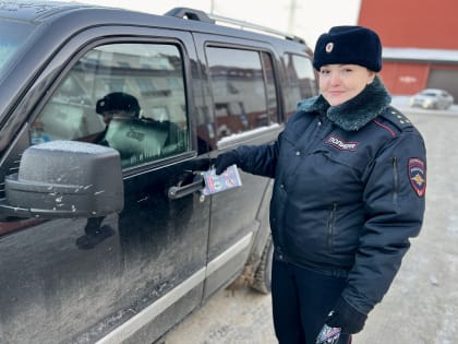 Госавтоинспекторы провели акцию «Безопасный двор» в Орехово-Зуевском округе