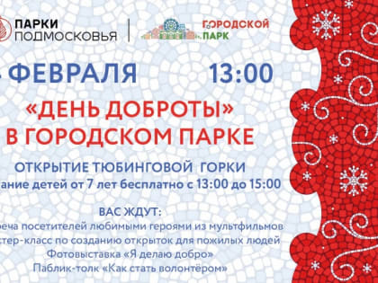 " День доброты" в городском парке
