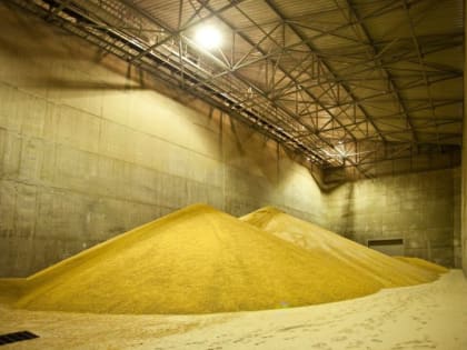 Сто тридцать миллионов рублей вложат в новый комплекс для обработки зерна в Подмосковье