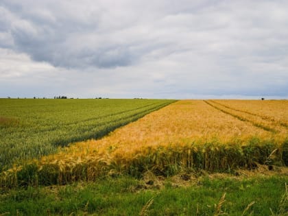 Новые инициативы по улучшению городской инфраструктуры в России