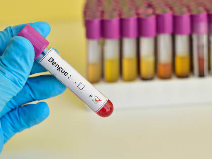 RPP: 20 регионов Перу введут режим ЧС из-за массовой вспышки лихорадки денге