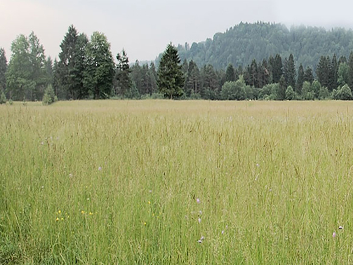 Торги земли сельхозназначения. 100 га земли сельхозназначения. Сельское хозяйство астраханской области. Гектар земли. Торги земли сельхозназначения.