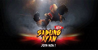 SV388 : Link Resmi Sabung Ayam Online – Live Streaming 24 Jam Nonstop