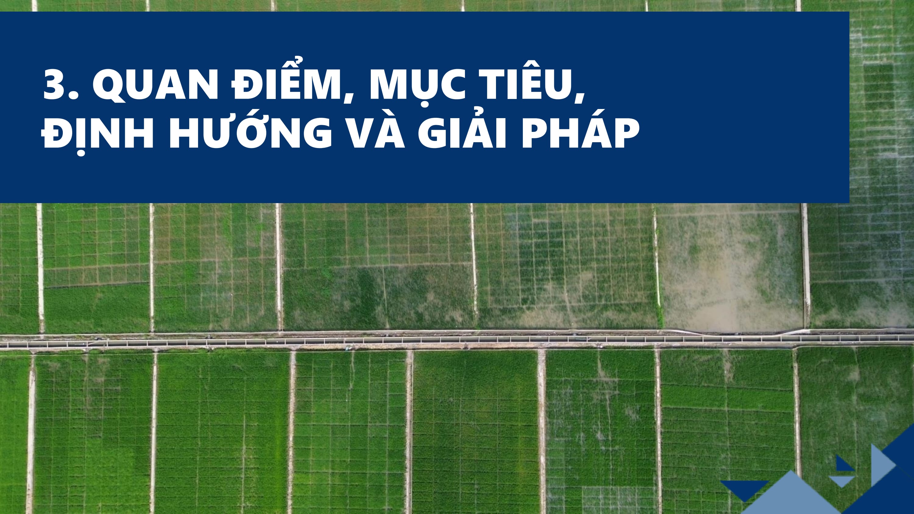 Slide 10
