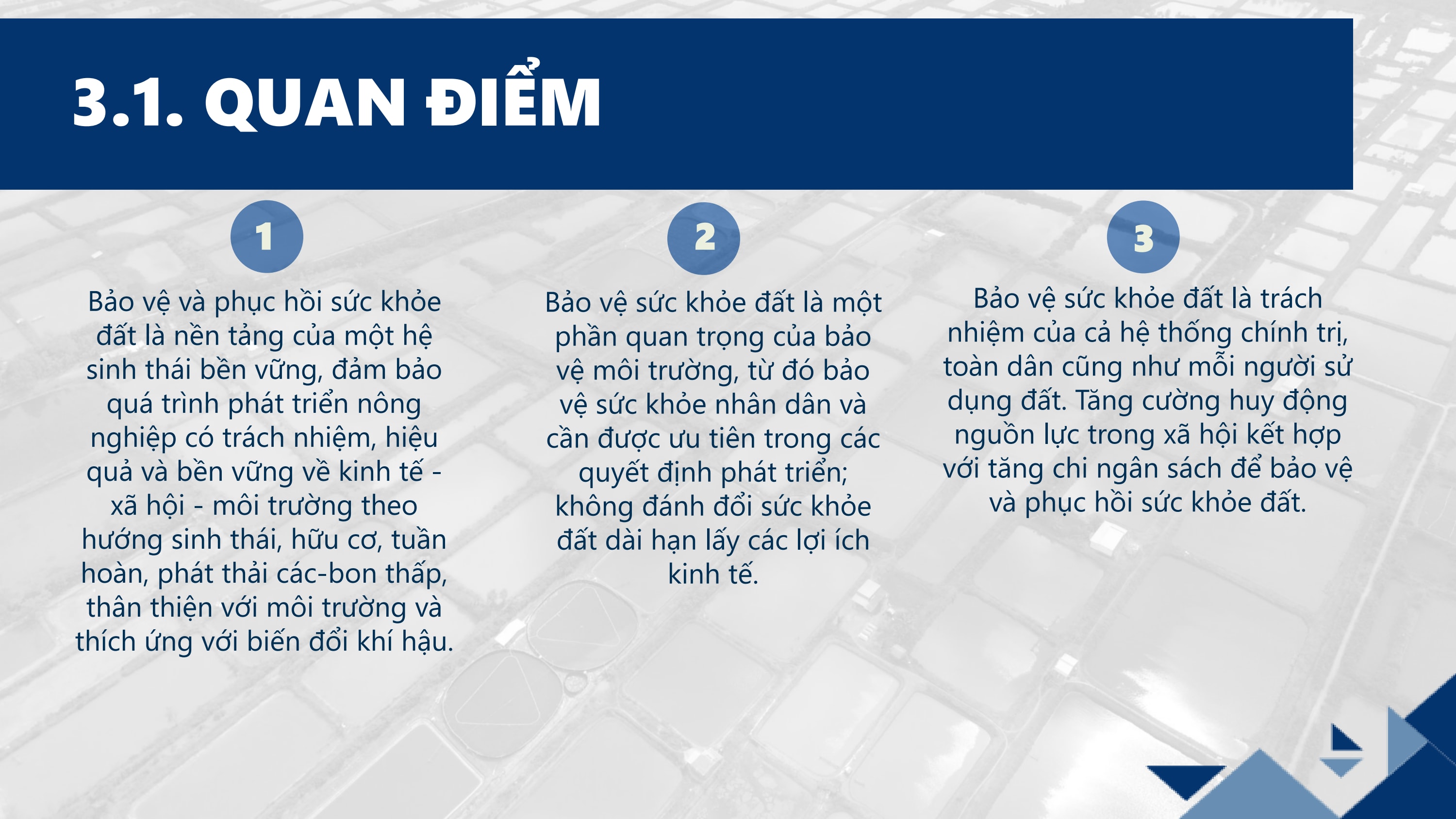 Slide 11