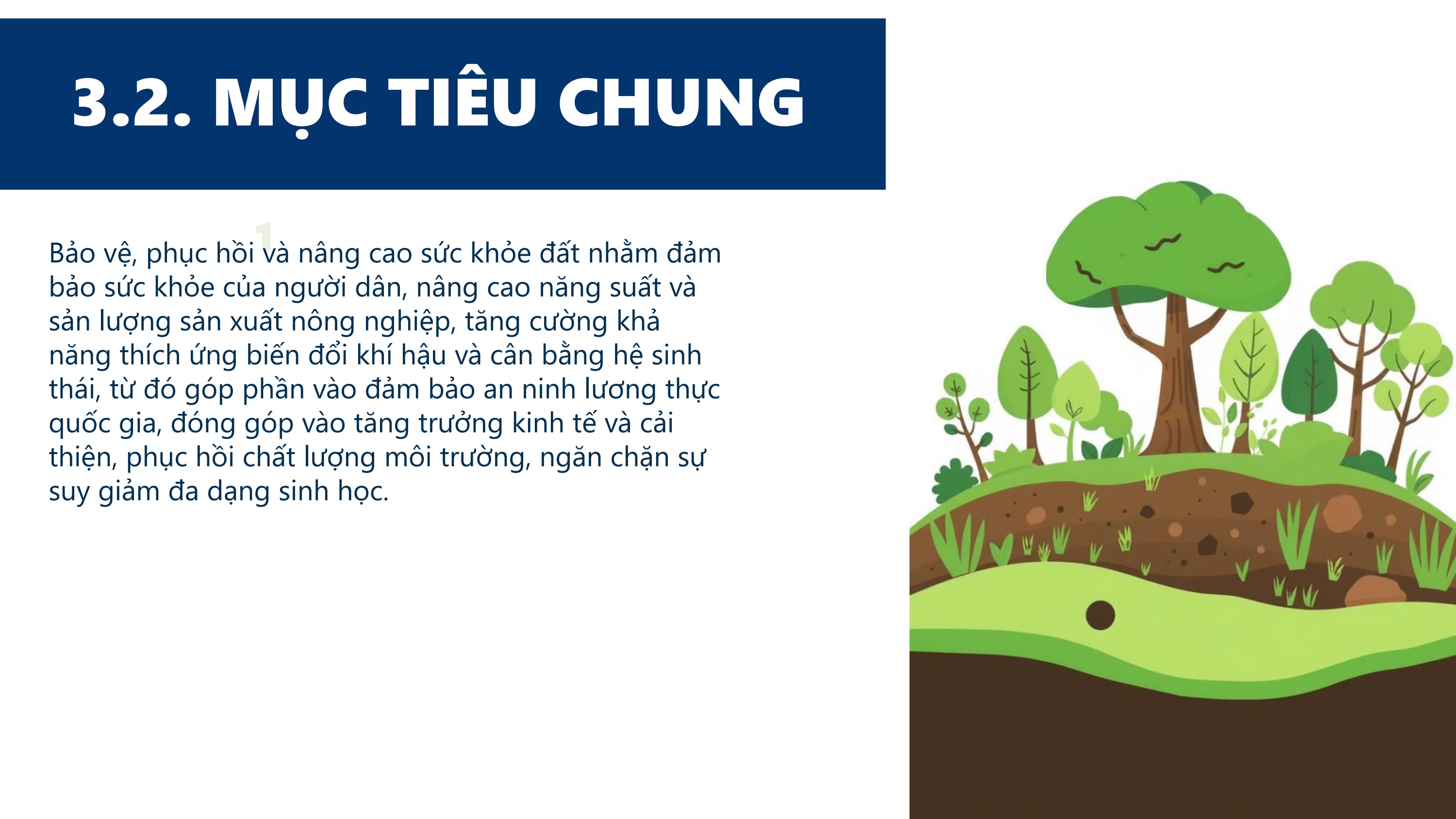 Slide 12