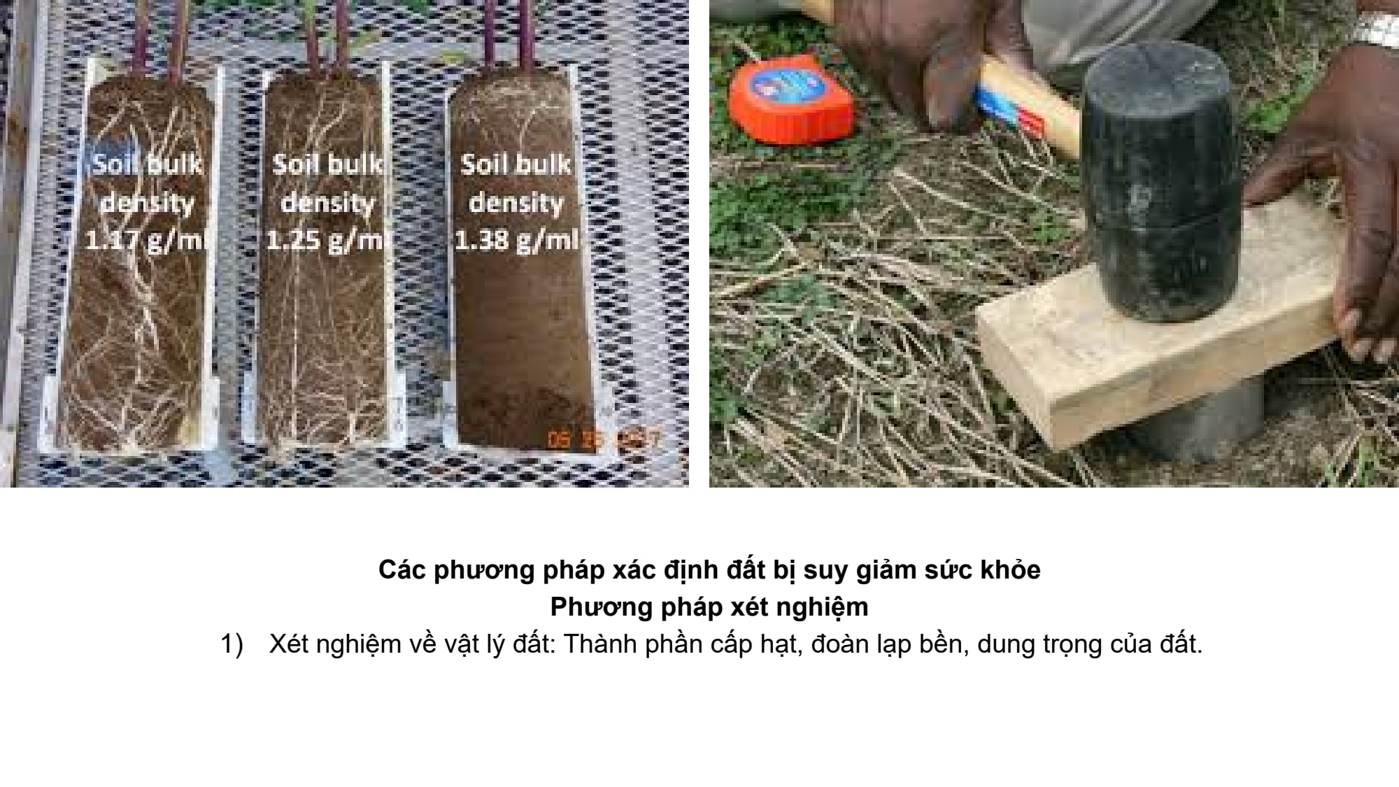 Slide 15