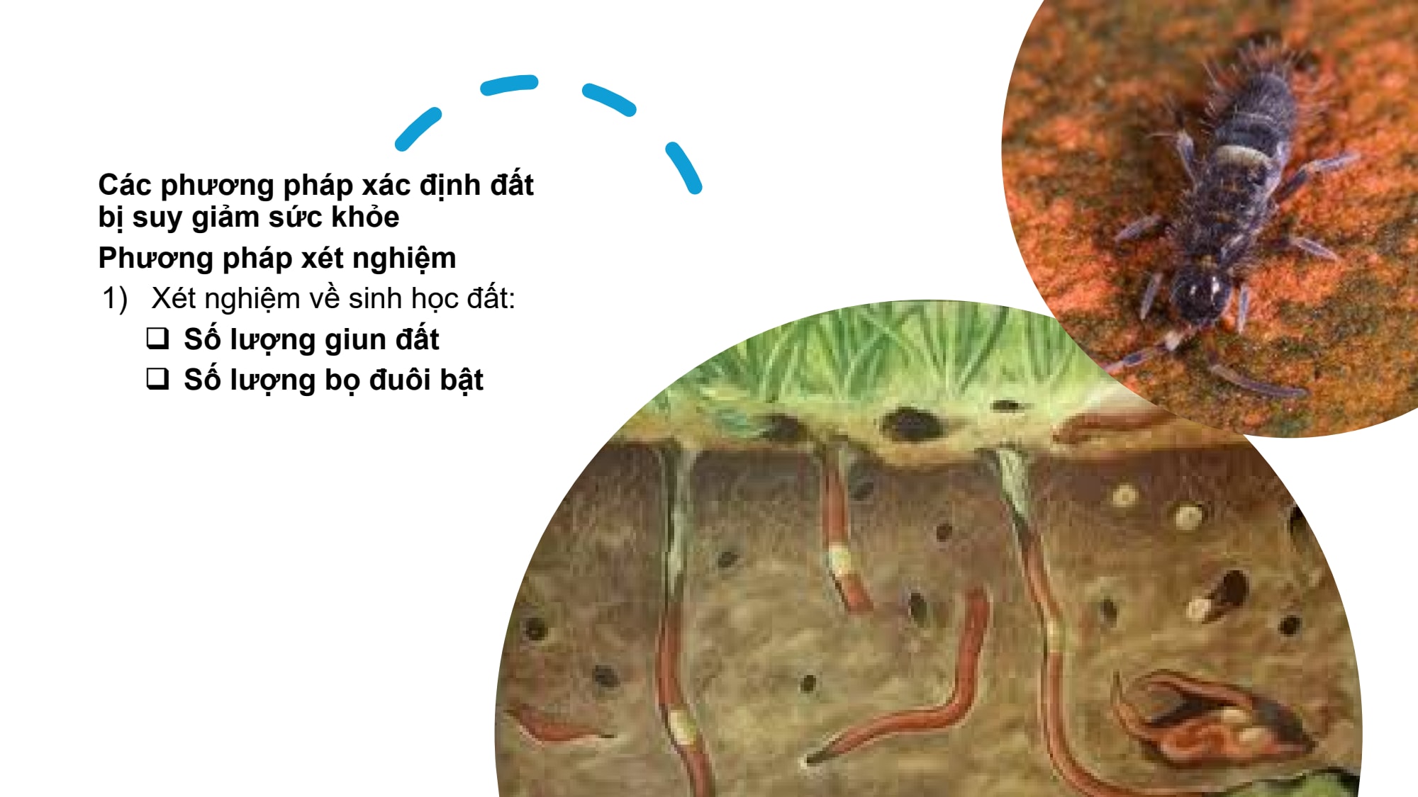 Slide 17