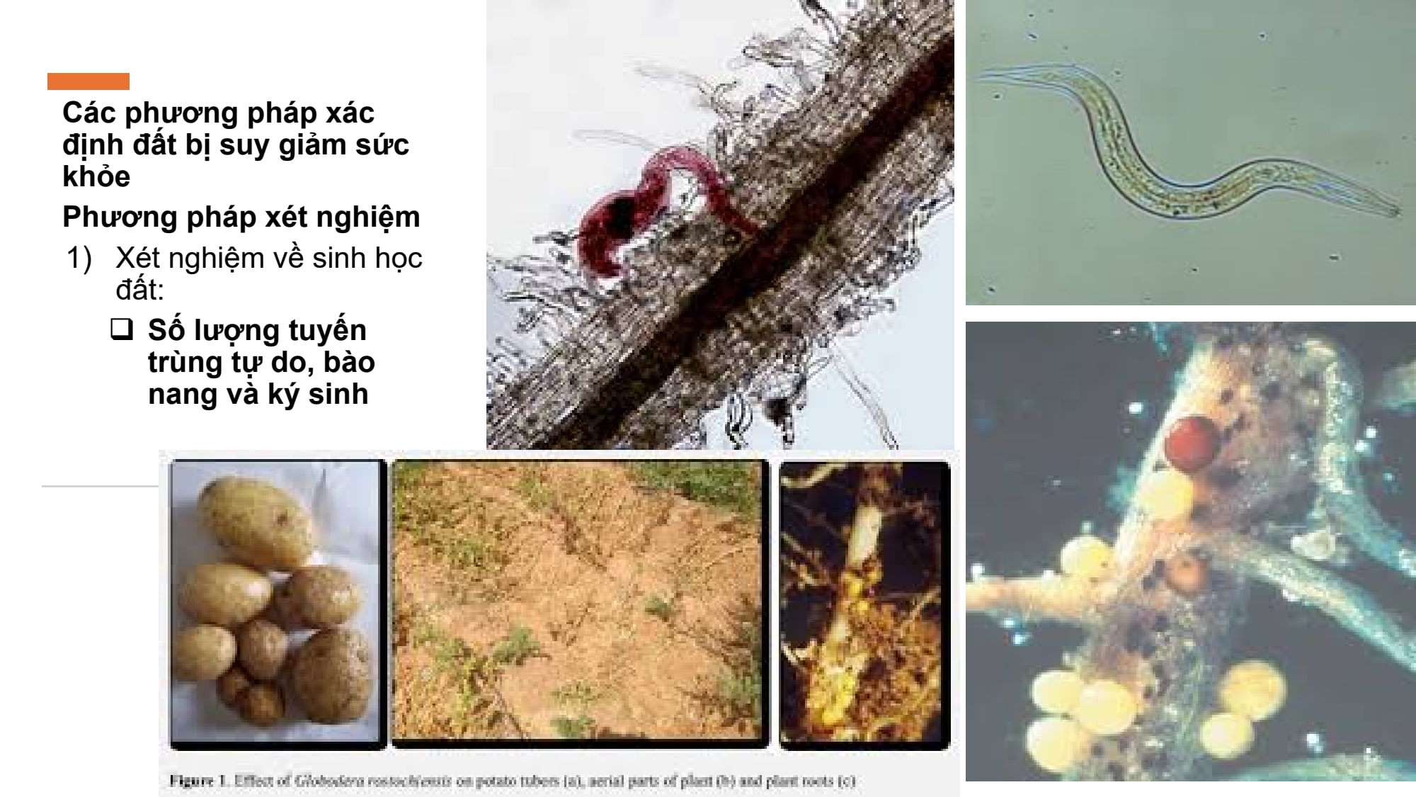 Slide 18