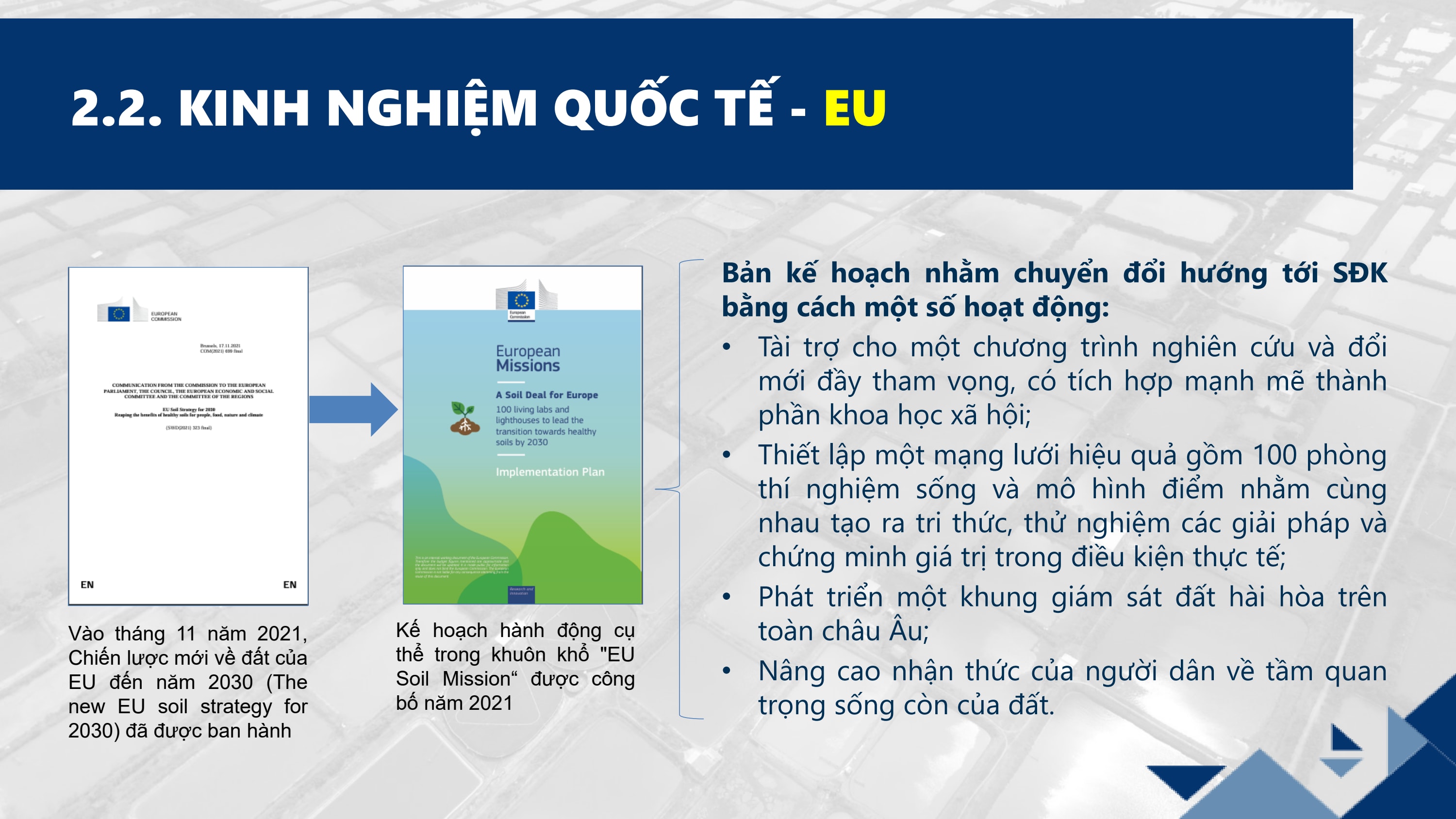 Slide 6