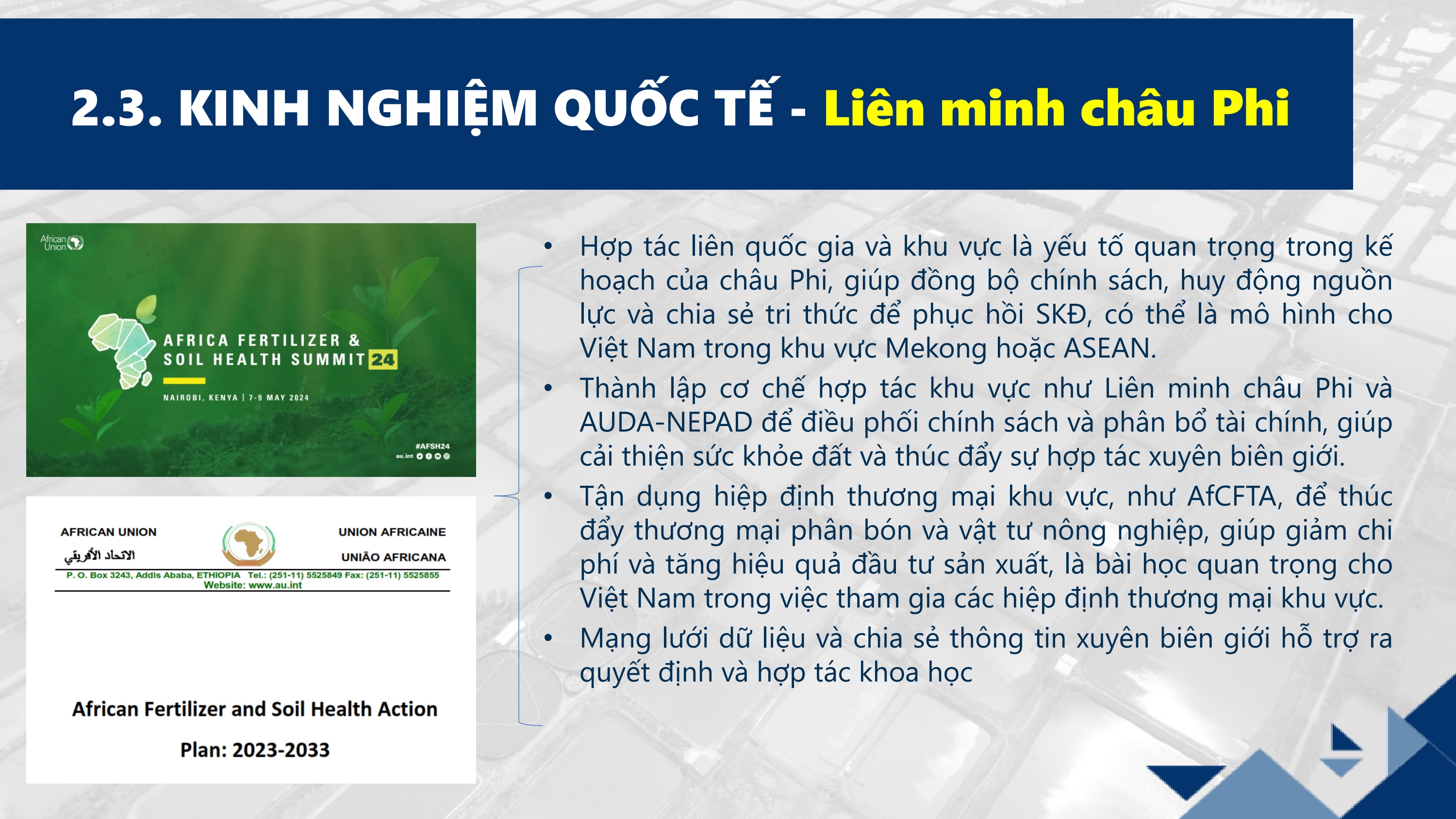 Slide 7
