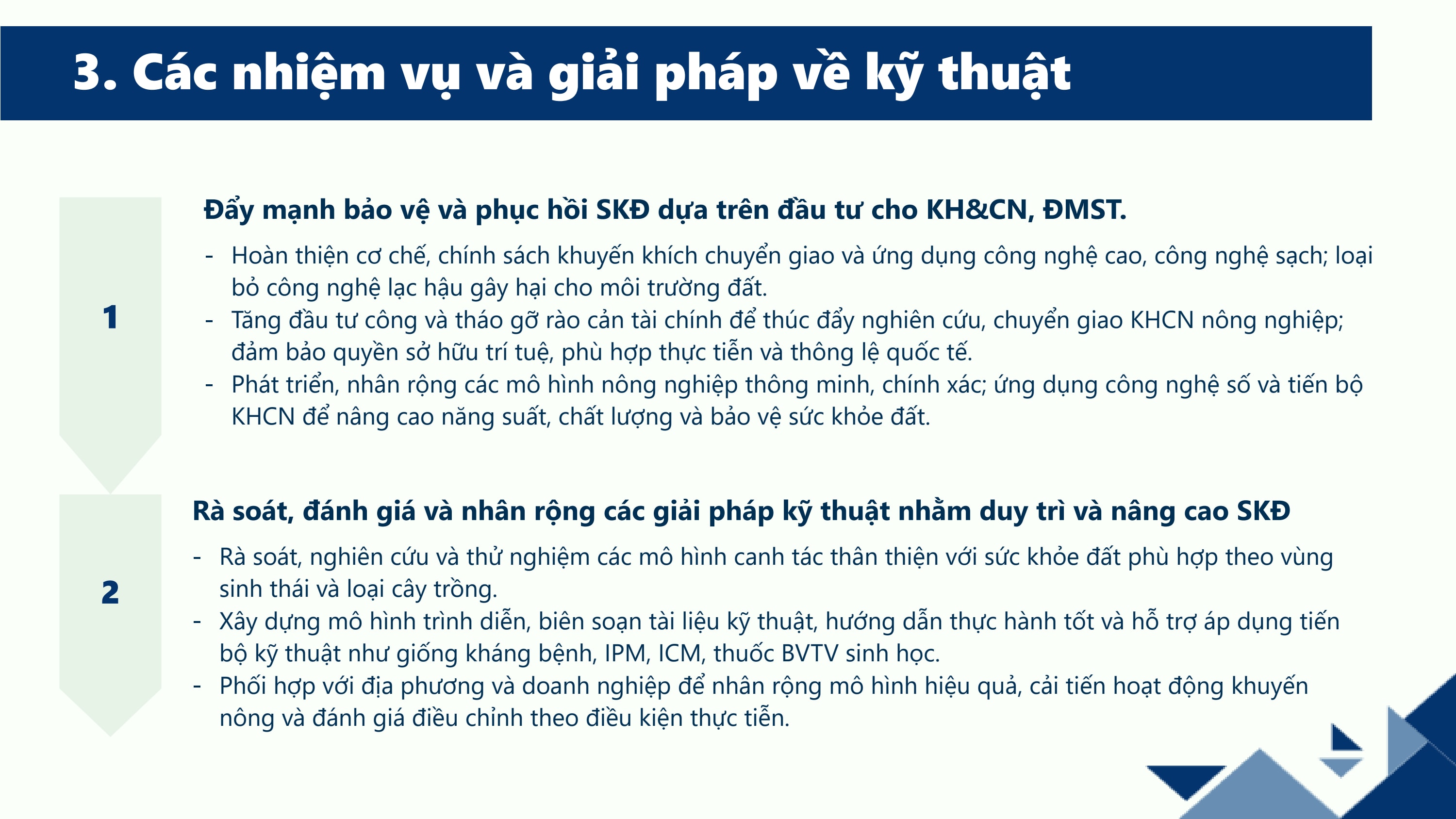 Slide 8