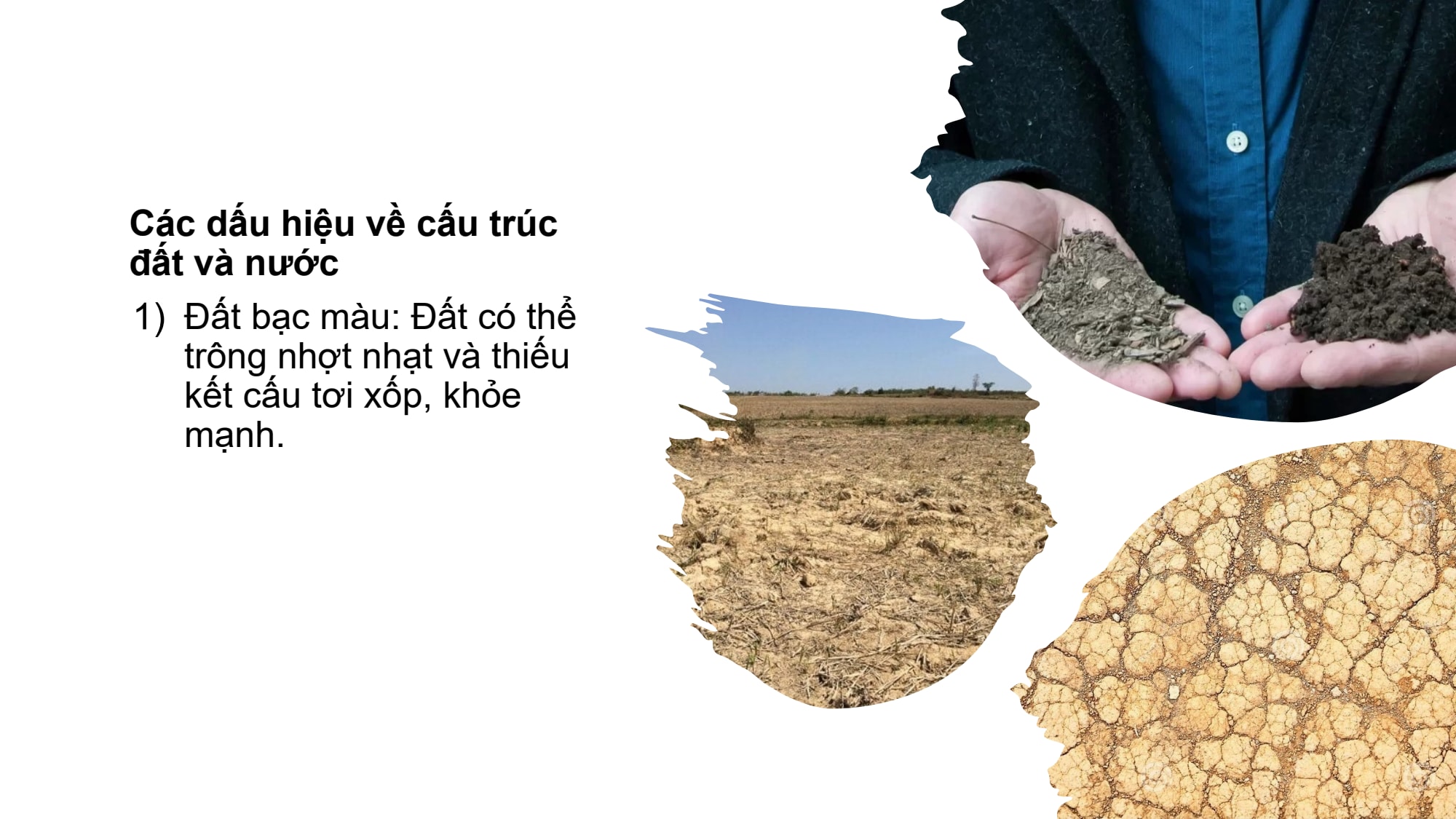 Slide 8