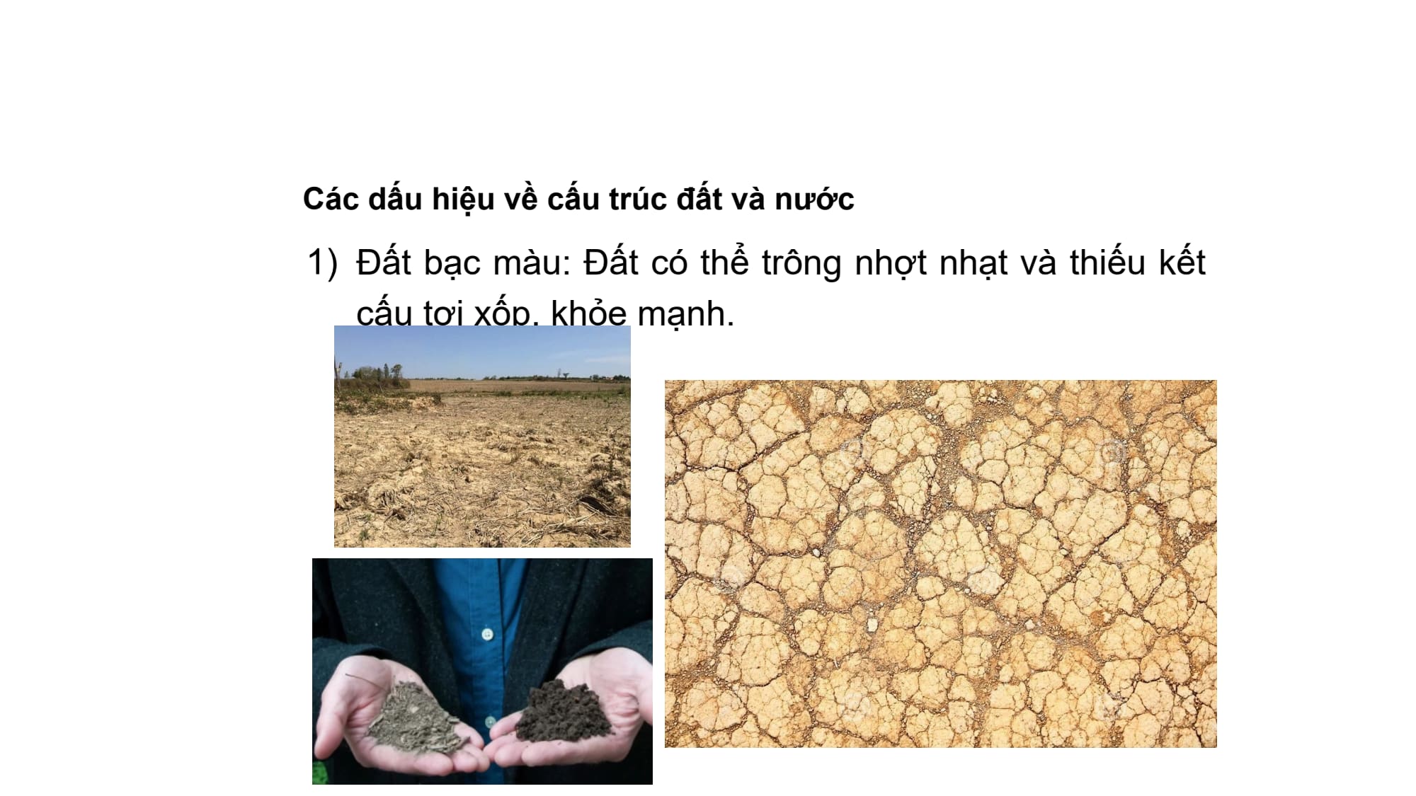 Slide 9