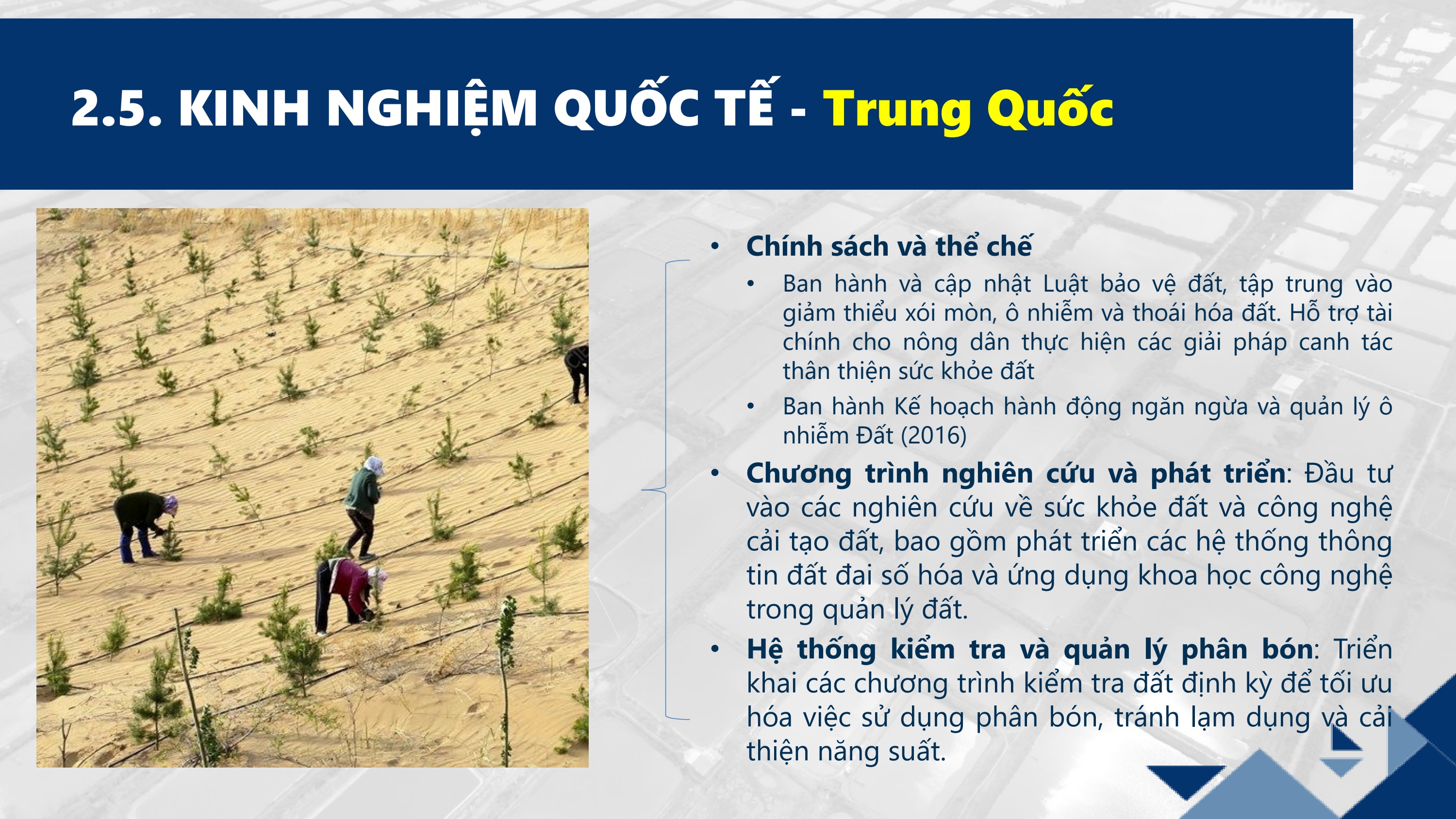 Slide 9
