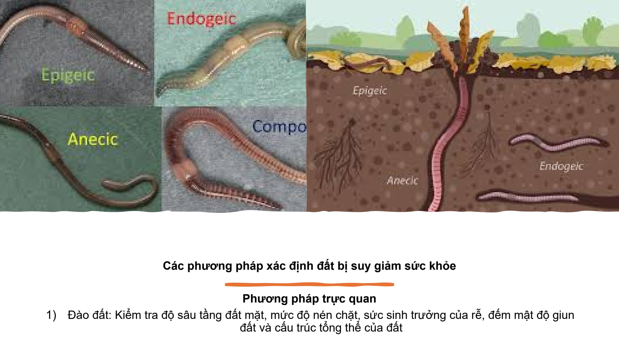 Slide 9