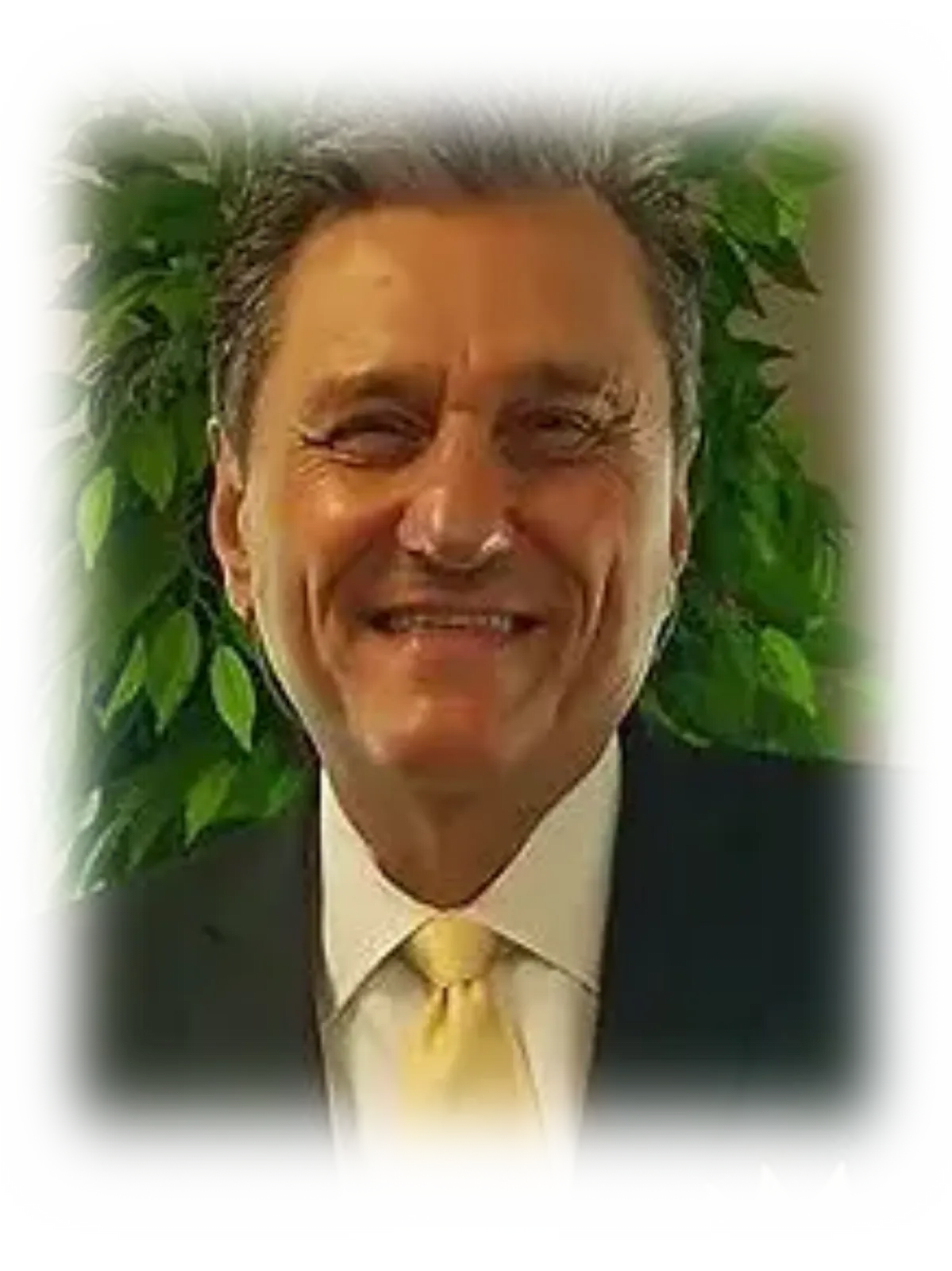 Kelly McKnight, PhD