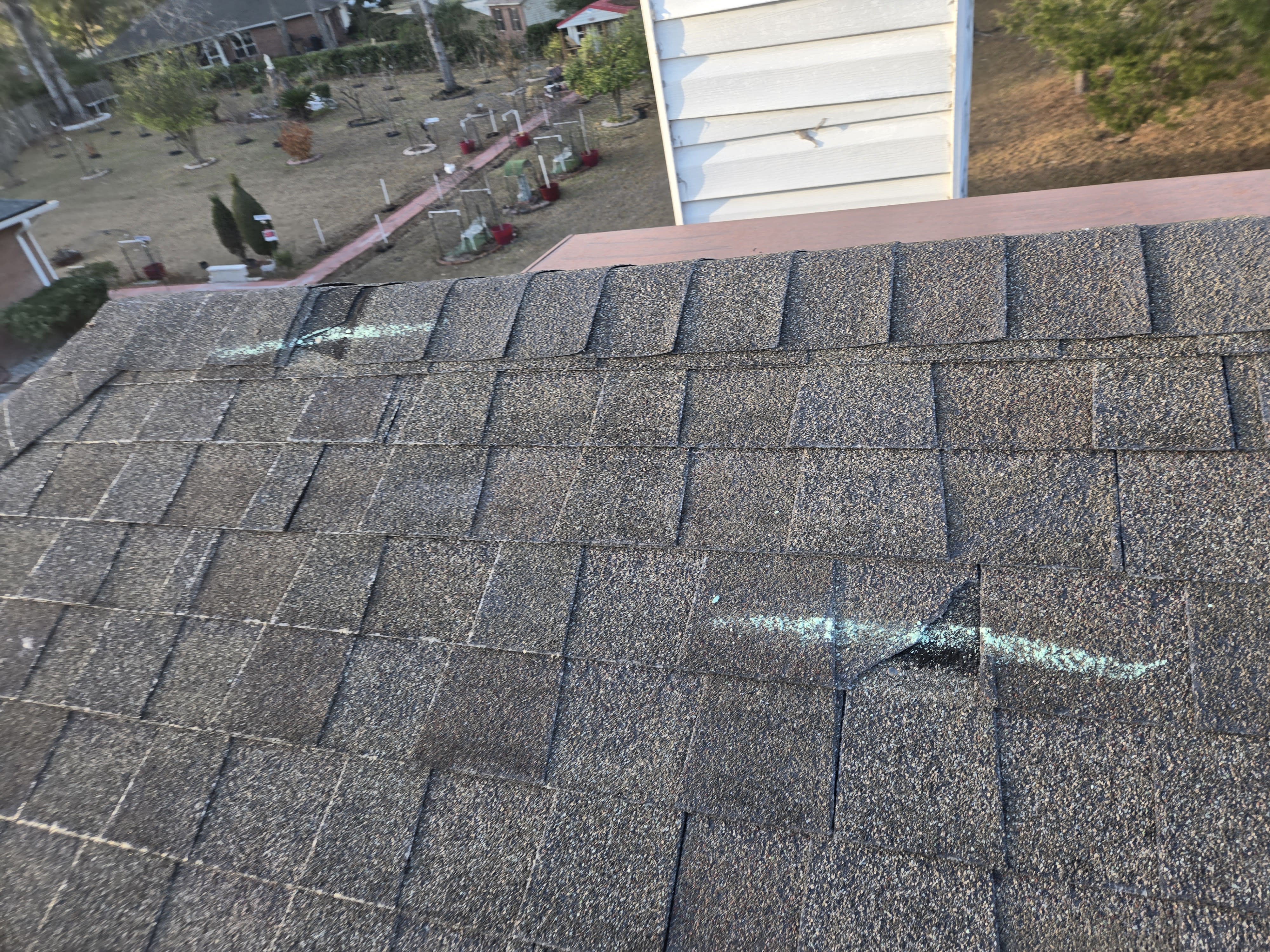 Schedule Your Inspection