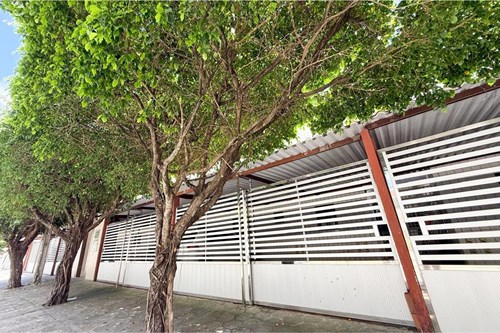 Apartamento Térreo com 3 Quartos em Ponta de Campina