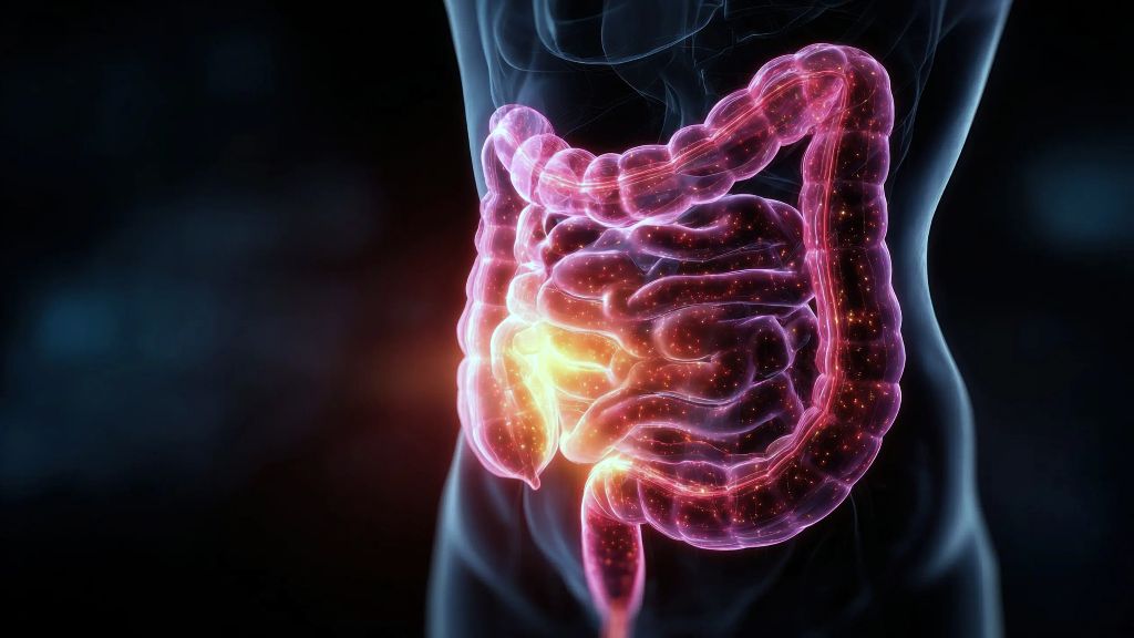 Nova Perspectiva do Papel da Microbiota Intestinal na Sepse
