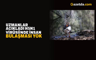 Uzmanlar acıkladı H5N1 virüsünde insan bulaşması yok