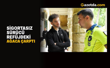 Sigortasız sürücü refüjdeki ağaca çarptı