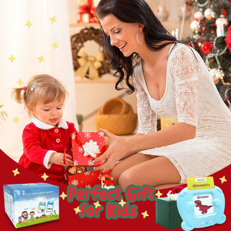 Juguetes para niños pequeños, tarjetas didácticas en español, 224 palabras visuales, juguetes de terapia del habla de bolsillo, tarjetas flash bilingües, juguetes sensoriales para autismo para niños autistas