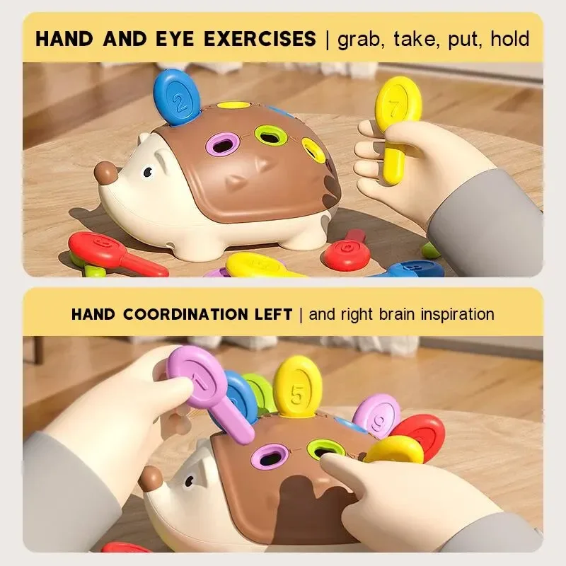 Erizo de motricidad fina y sensorial, Juguete educativo Montessori para niños pequeños, aprendizaje de conteo y clasificación