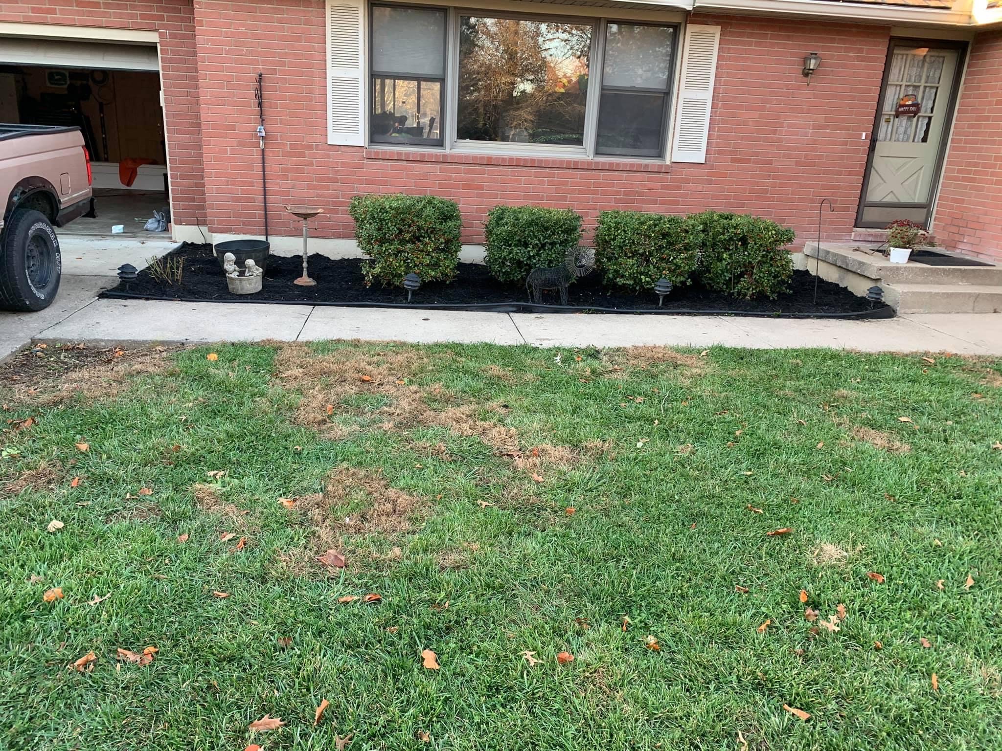 Bush Trimming and Mulch