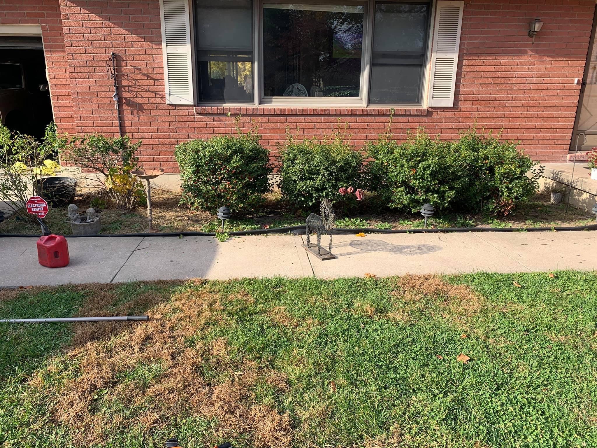 Bush Trimming and Mulch