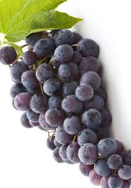 Resveratrol 99%,50% Supplier & Wholesale Manufacturer
