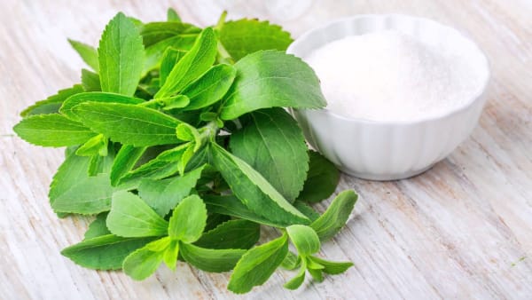 Stevia 95% Supplier & Wholesale Manufacturer