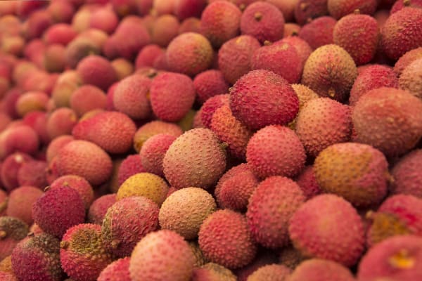 Lychee Supplier & Wholesale Manufacturer