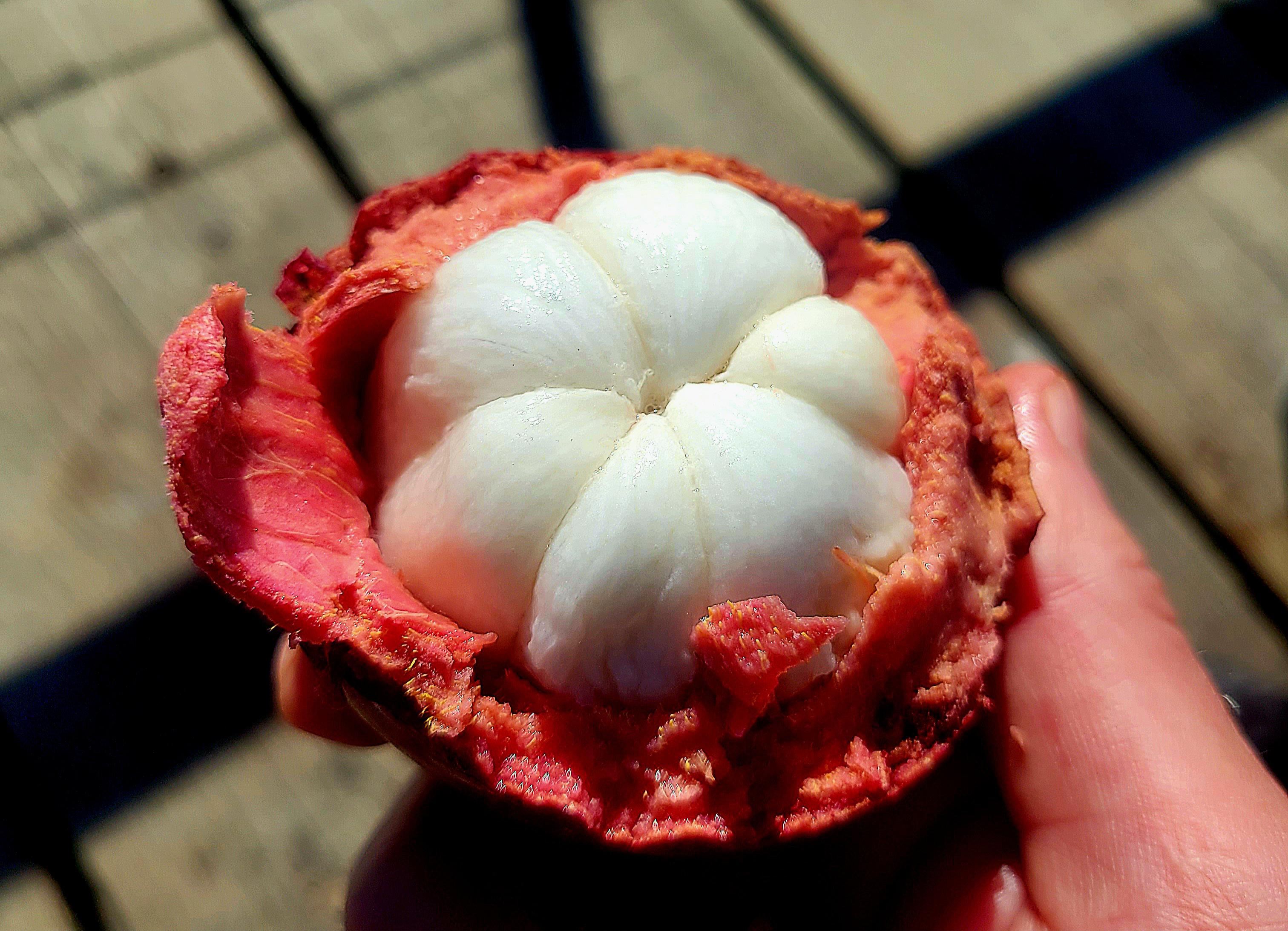 Mangosteen botanical extract ingredient